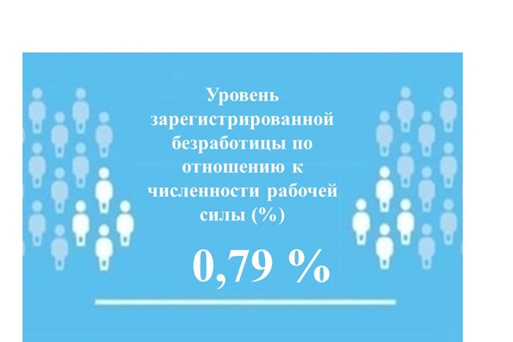 Уровень регистрируемой безработицы в Чувашской Республике составил 0,79 %